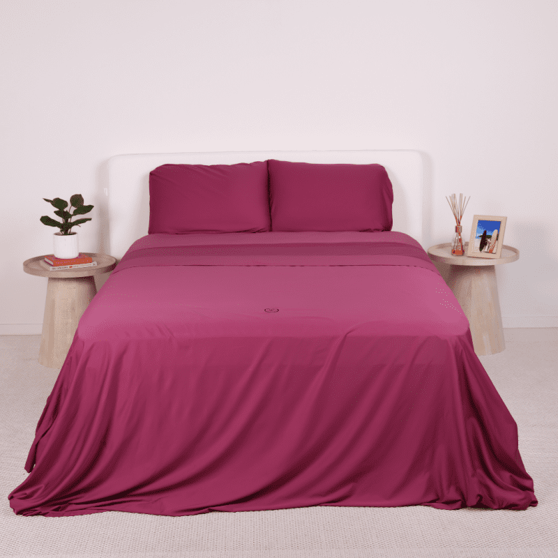 Luxury Bedding Sets Queen Aspen Collection Purple